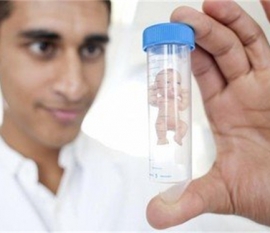 维生素b6回奶并无弊端，不按用法用量服用才有副作用