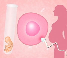 同卵双胞胎怎么样形成的，科学揭秘同卵双胞胎的产生原因