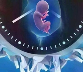 带环怀孕孩子能要吗？一定要这样处理